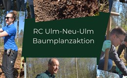 Baumpflanzaktion vom RC Ulm/Neu-Ulm